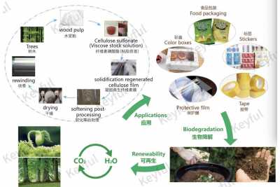 纤维素膜在环保包装领域具有不可替代性